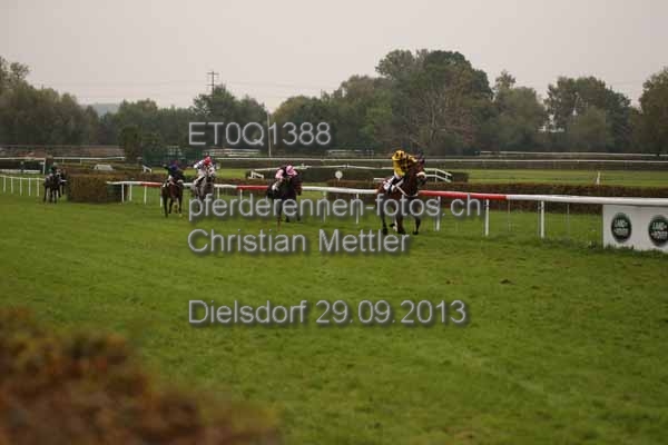 ET0Q1388 prot